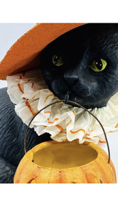 Black Cat Witch on pumpkin