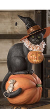 Load image into Gallery viewer, Black Cat Witch on pumpkin
